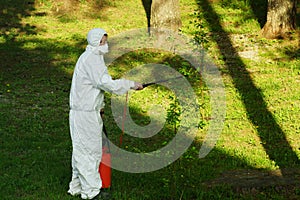 The concept of pest management, insects and mites . Chemical treatment and protection against termites, cockroaches