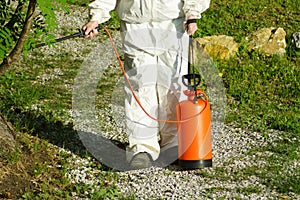 The concept of pest management, insects and mites . Chemical treatment and protection against termites, cockroaches