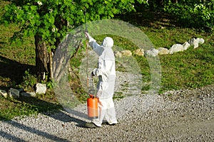 The concept of pest management, insects and mites . Chemical treatment and protection against termites, cockroaches