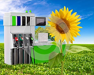 Concept of petrol and clean environment