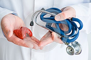 Concept photo diagnostics and treatment of diseases of thyroid gland. Doctor dressed in white lab coat in one hand holds figure of