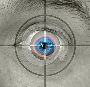 Biometrics retina eye scan security check surveillance