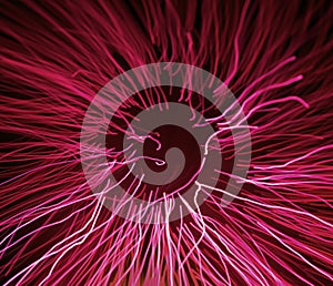 Concept of pink fiber optic light effect. Luminescent magenta sea anemone pattern. Closeup of bright neon electric