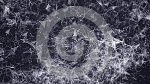 Plexus network concept for digital communication and technology