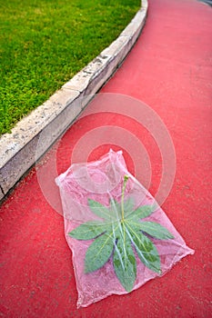 Concept of pollution by plastic asphyxia