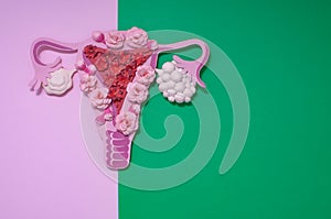 Concept polycystic ovary syndrome, PCOS. Copy space, women reproductive system photo