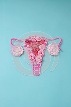 Concept polycystic ovary syndrome, PCOS. Copy space, women reproductive system. photo