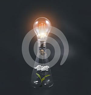Concept power energy and nature, Incandescent light bulb with plant as the filament, light bulb in a glass jar with a growing plan