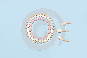 The concept of pregnancy, fertilization of the egg. Artificial insemination.Extracorporal fertilization.