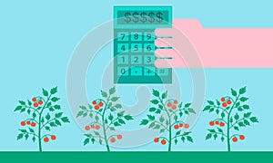The concept of profit in agriculture. Vector illustration