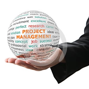 Concept of Project management in business