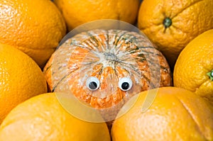 Concept of pumpkin with artificial eyes surrounded by oranges