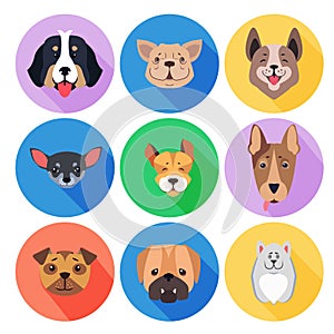 Concept of Purebred Dogs on Colored Circle Icons