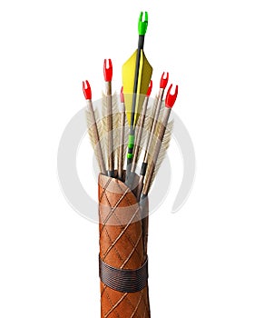 Concept of quiver full of arrows, the modern one differs from other traditional arrows.