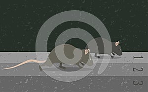 Concept rat race metaphor