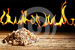 Concept of renewable natural wood fuel