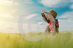 Concept of responsible farming, female farmer in cereal crops field