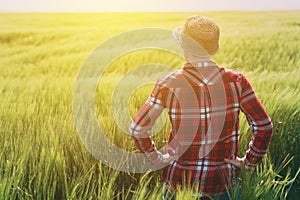 Concept of responsible farming, female farmer in cereal crops field