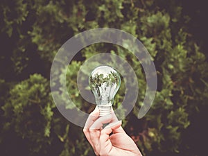 Concept save energy efficiency. Hand holding light bulb on blurred tree background photo