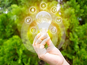 Concept save energy efficiency. Hand holding light bulb with icon on blurred tree background photo