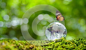 Concept Save the world save environment The world is in the grass of the green bokeh background photo