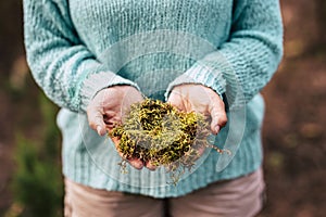 Concept of save the world and love nature - unrecognizable woman close up with musk on her hands - care planet earth and earth`s