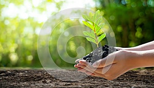 Concept Save the world save environment The world is in the grass of the green bokeh background