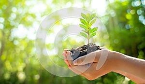 Concept Save the world save environment The world is in the grass of the green bokeh background