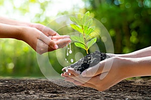 Concept Save the world save environment The world is in the grass of the green bokeh background