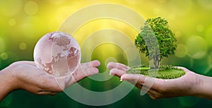 Concept Save the world save environment The world is in the hands of the green bokeh background In the hands of trees growing seed photo