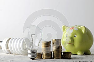 Concept of saving electricity. Piggy for money, money and different light bulbs on a light background