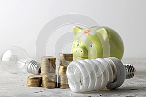 Concept of saving electricity. Piggy for money, money and different light bulbs on a light background