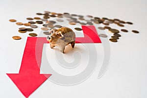 Concept of saving money in a crisis - ceramic pig