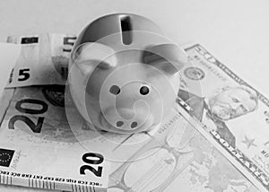 Concept of saving and saving money in a crisis, piggy Bank, euros and dollars paper banknotes, black and white photo