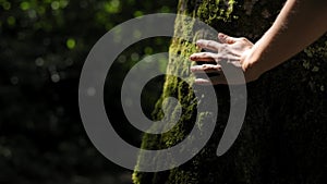 Concept of saving the planet, environment, surrounding nature. Female hand touches the green moss on the bark of tree in