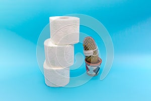 Concept of scarcity, panic buying and storages of toilet paper during a coronavirus epidemic, a cactus looks at a mountain of