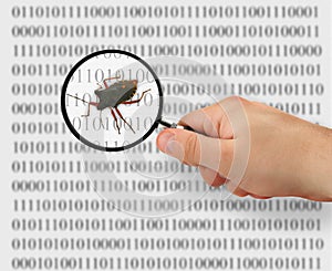 Concept of searching for a bug