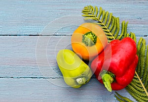 Concept of seasonal harvest large red, yellow and green bell peppers on a blue wooden background in a rustic style, fern leaf,