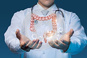 Concept of setting up and maintaining the digestive system of the body photo