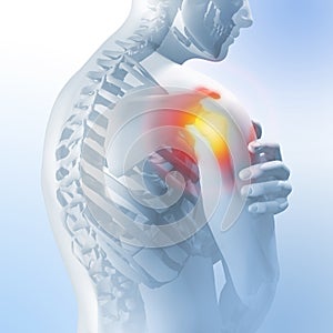 Concept of shoulder pain. Transparency of the skeleton and body. 3d medical anatomical illustration