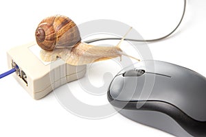 The concept of slow internet and working with a computer. Snail on the background of Internet wires and a computer mouse