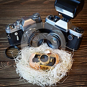 Concept SLR cameras and small compact as family in nest