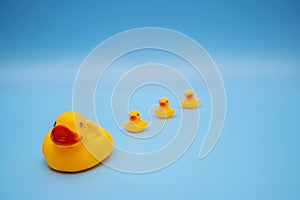 The concept of a smooth follow-up, rubber ducks