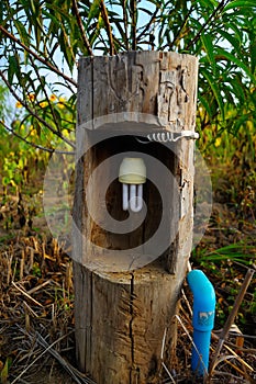 Energy saving bulbs are in the tree.