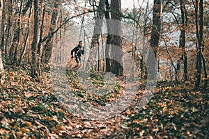 The concept of sport and a healthy lifestyle. A young slender man in sports clothes is engaged in Jogging in the autumn forest or