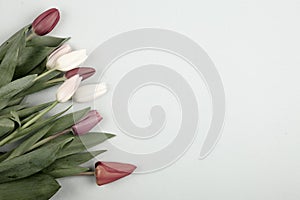 Concept of spring, Women`s Day, Mother`s Day, 8 March, the holiday greetings