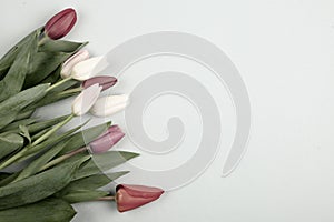 Concept of spring, Women`s Day, Mother`s Day, 8 March, the holiday greetings