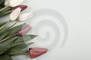 Concept of spring, Women`s Day, Mother`s Day, 8 March, the holiday greetings