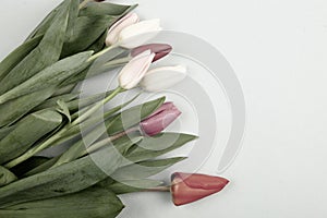 Concept of spring, Women`s Day, Mother`s Day, 8 March, the holiday greetings