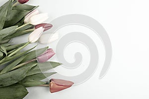 Concept of spring, Women`s Day, Mother`s Day, 8 March, the holiday greetings